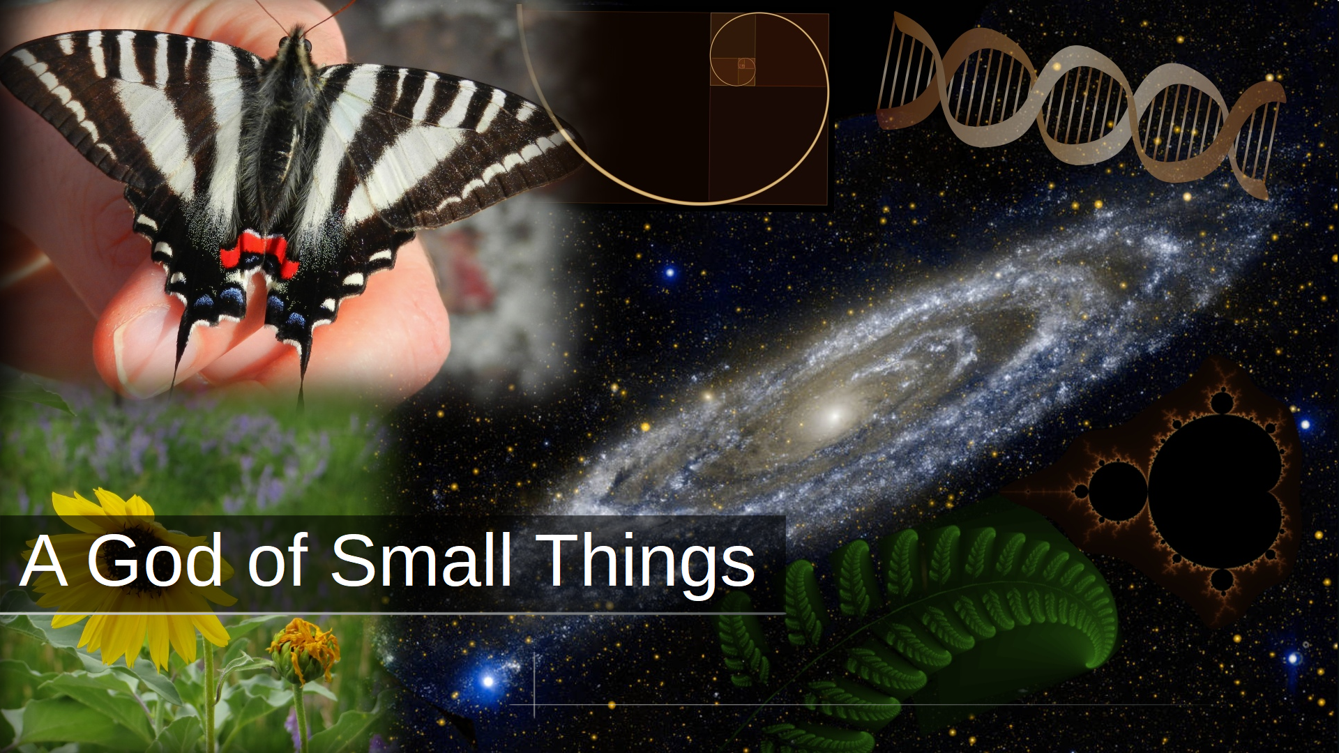 A God of Small Things