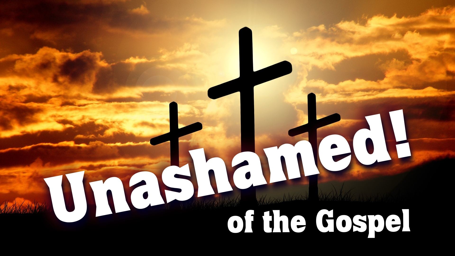 Unashamed!