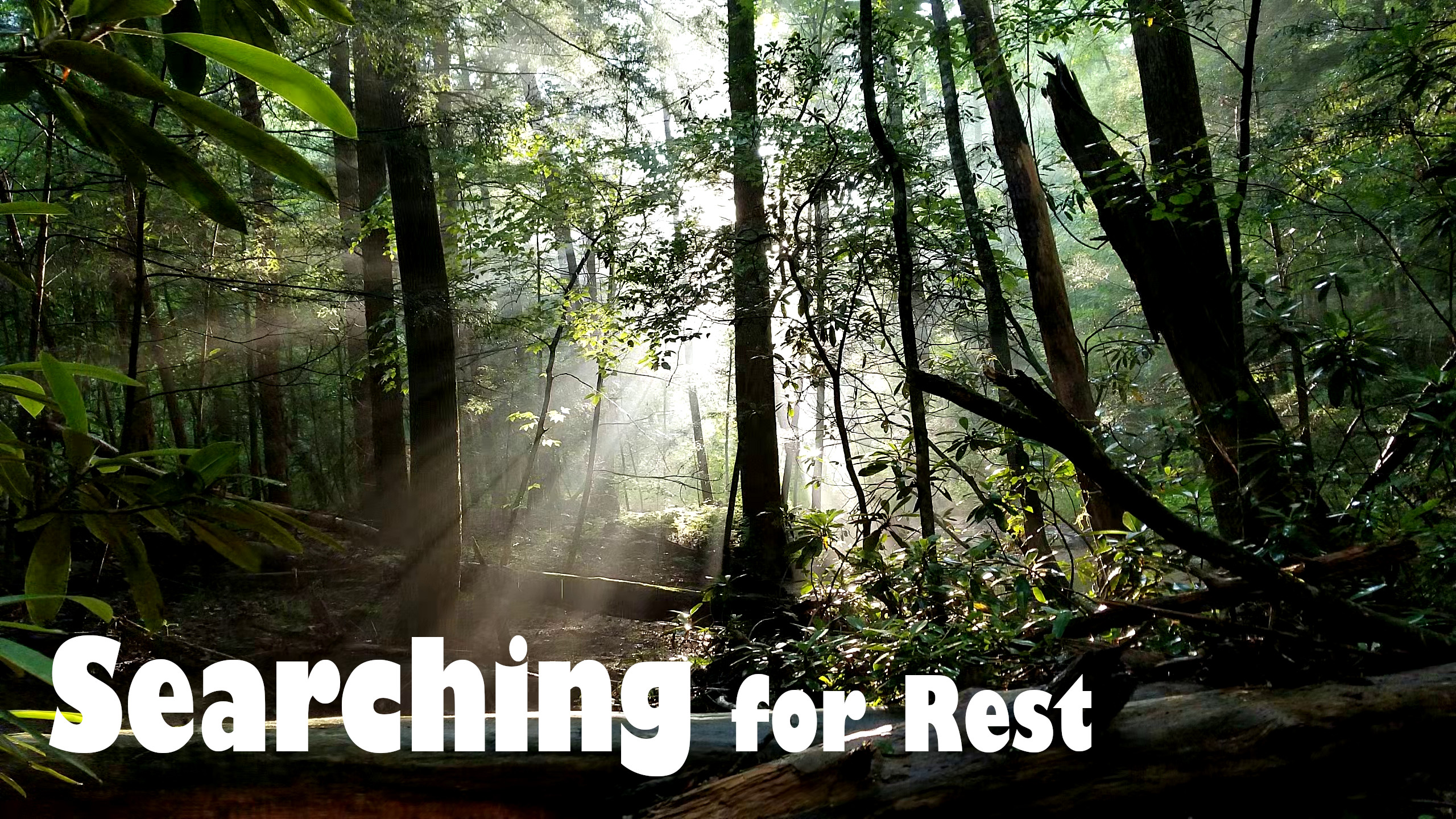 Searching for Rest, Part 1