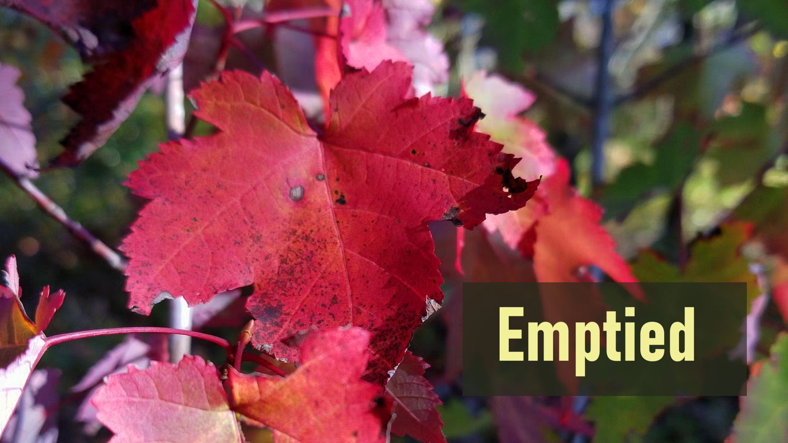 Emptied